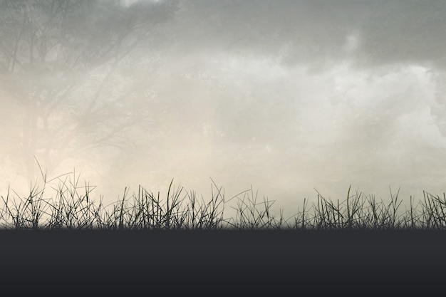 西咸新区管委会地址