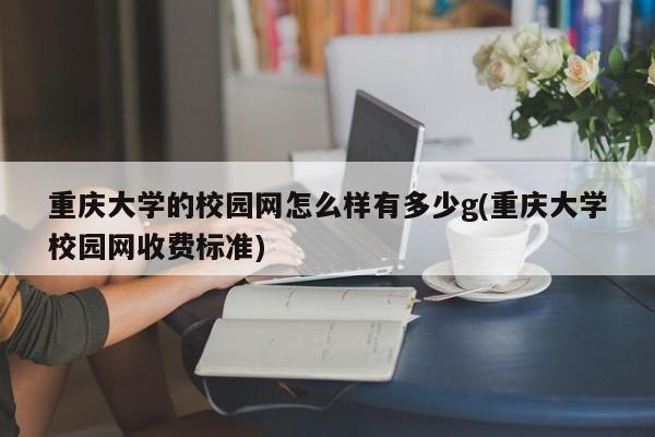 重庆大学的校园网怎么样有多少g(重庆大学校园网收费标准)