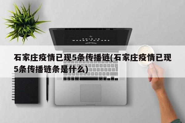 石家庄疫情已现5条传播链(石家庄疫情已现5条传播链条是什么)