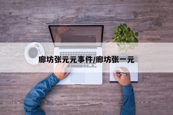 廊坊张元元事件/廊坊张一元